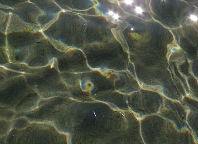 A tranquil natural landscape with a calm water surface.