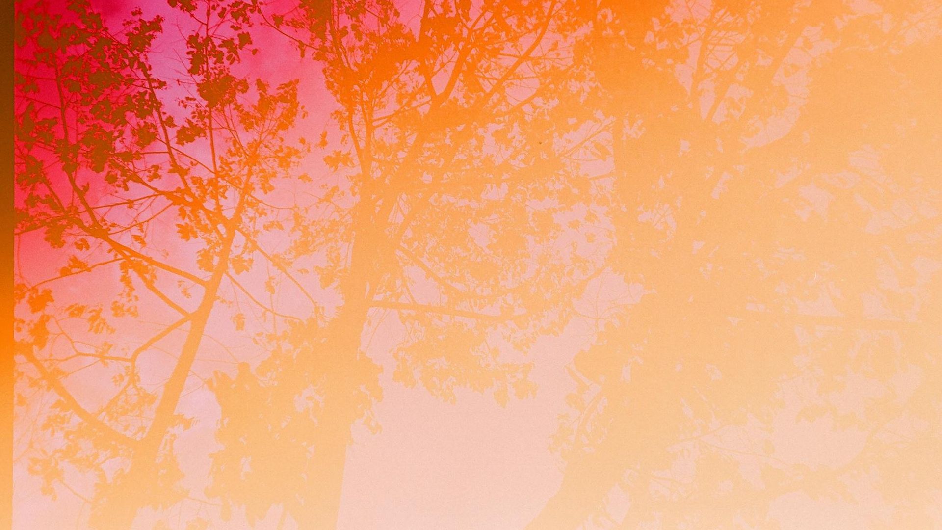 Abstract background with soft gradients of ruby and pink colors.